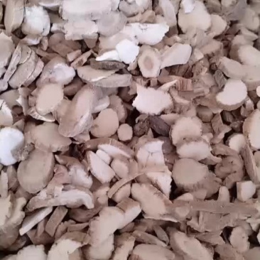 白芷白芷白芷片精选无硫白芷白芷粉多规格香料大全