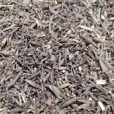 刘寄奴。中药材南刘寄奴野生金寄奴奇蒿南寄奴化食丹南刘