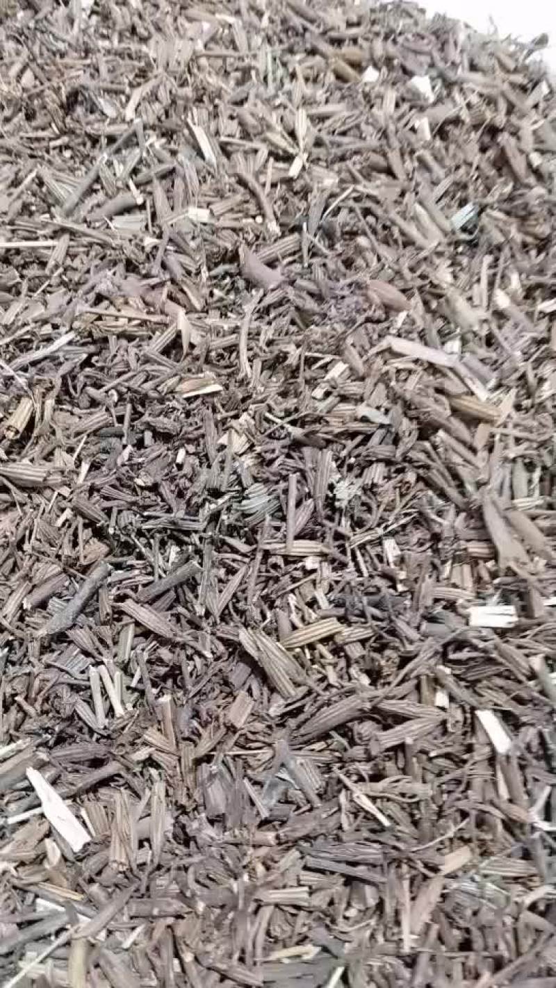 刘寄奴。中药材南刘寄奴野生金寄奴奇蒿南寄奴化食丹南刘