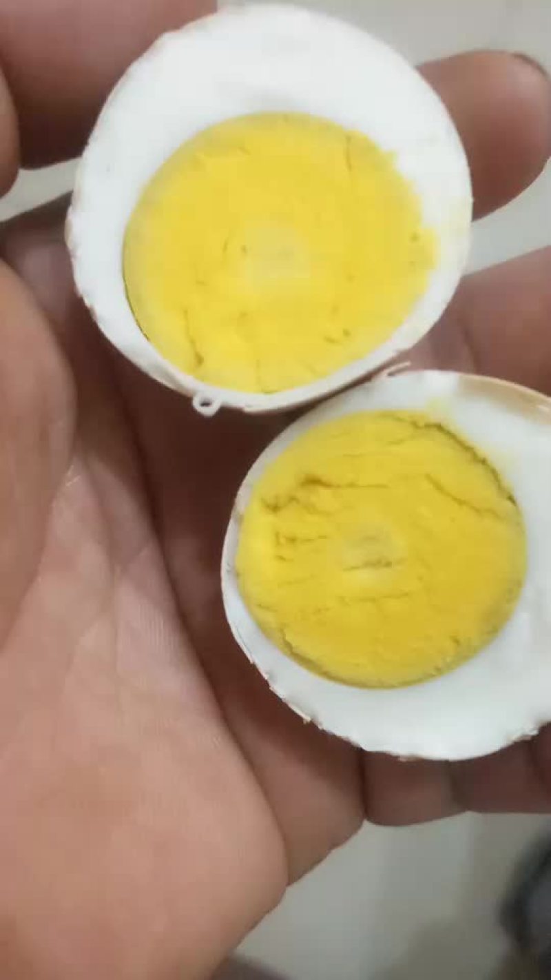 正宗吃粮食散养土鸡蛋