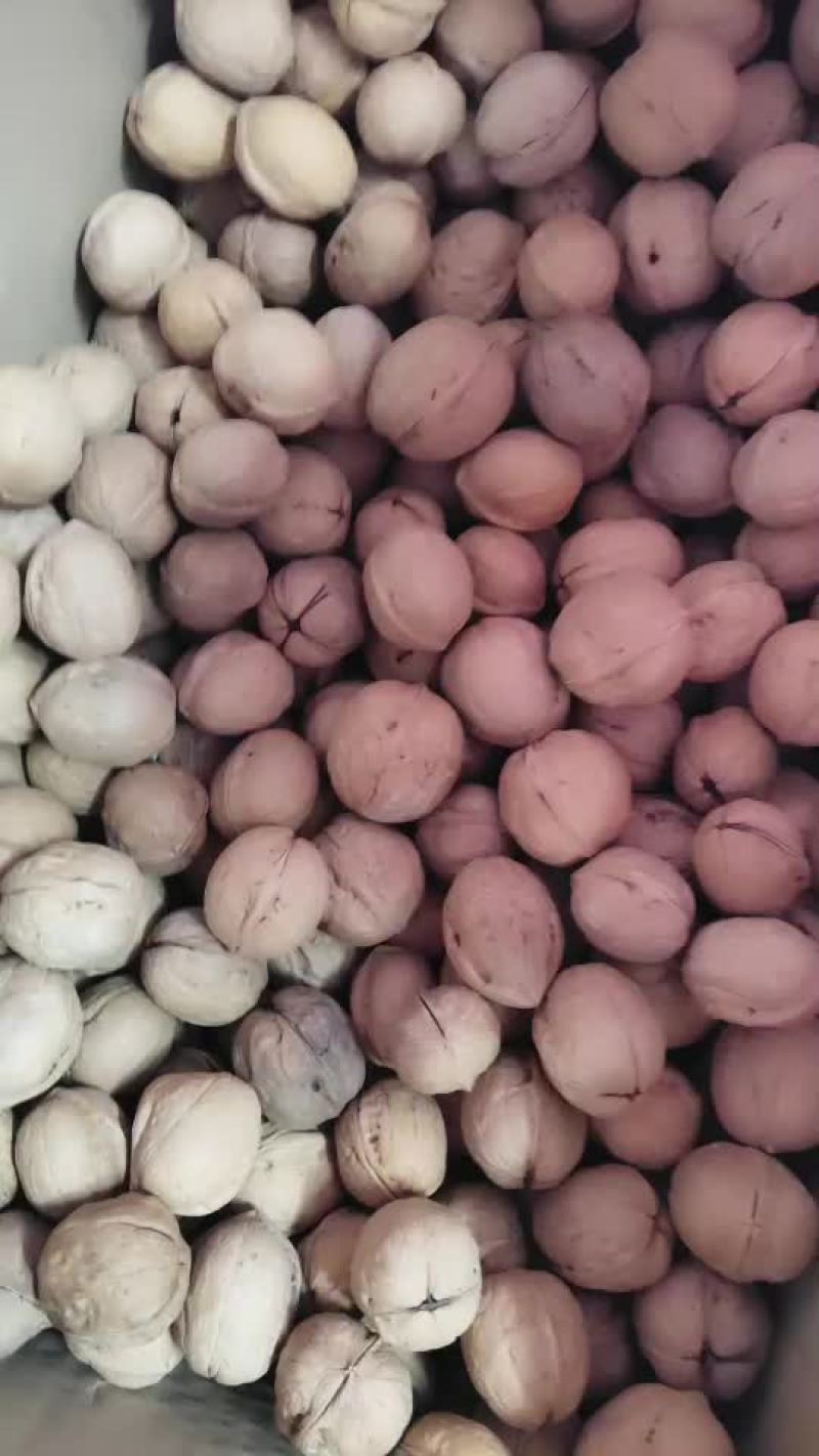 核桃