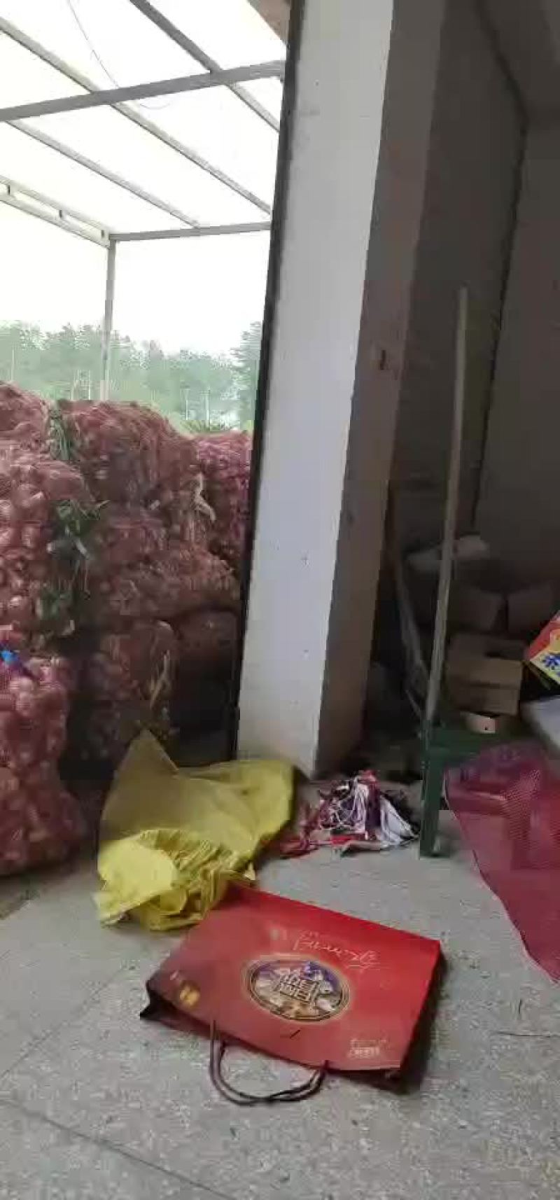 鲜大蒜