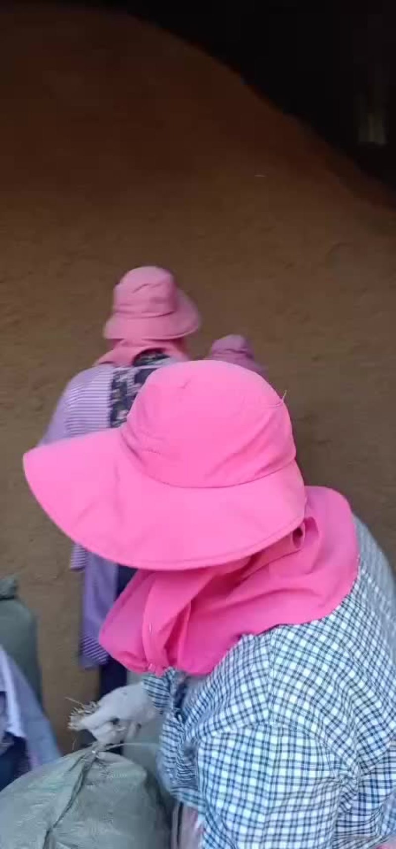 原阳稻壳