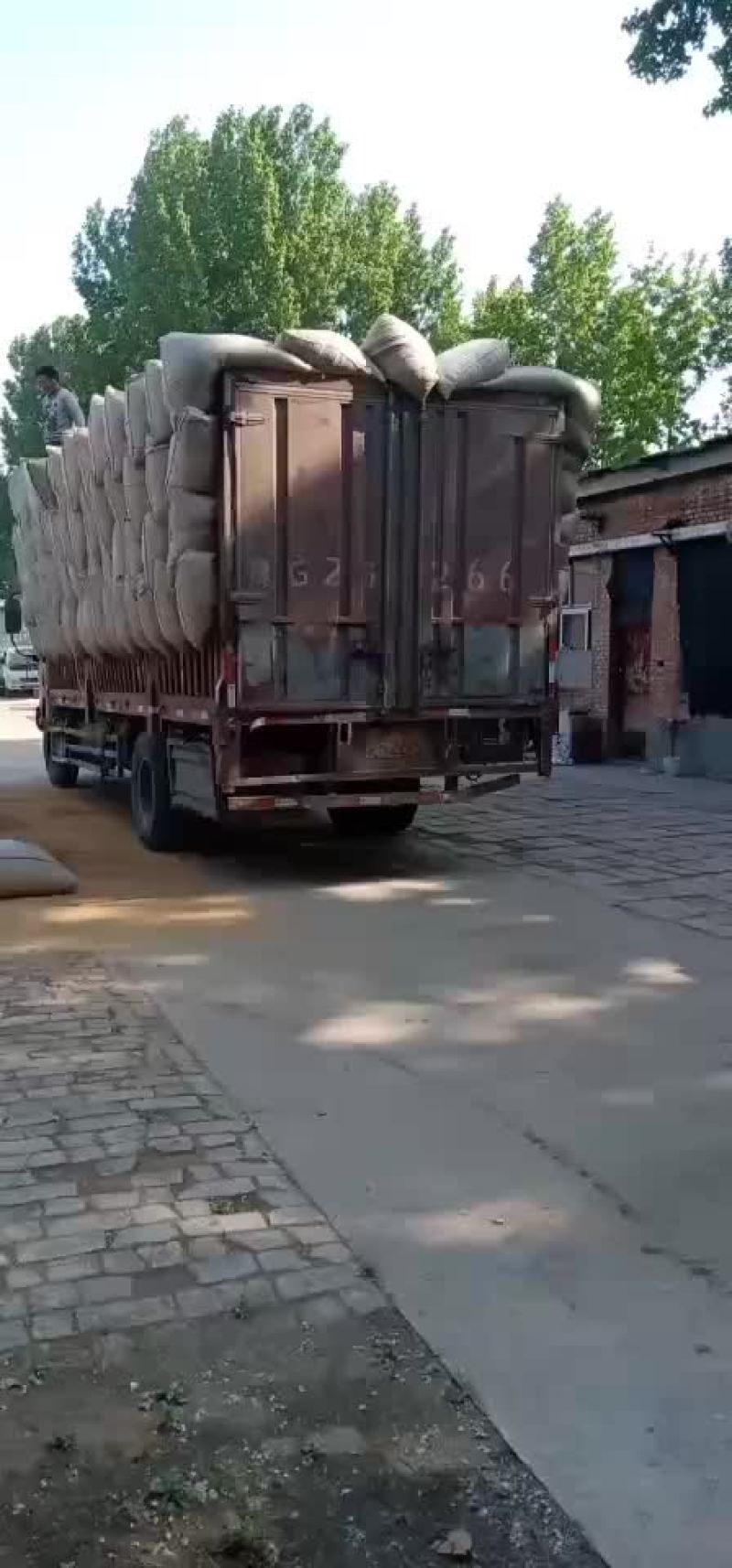 原阳稻壳