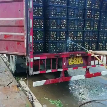 有一车