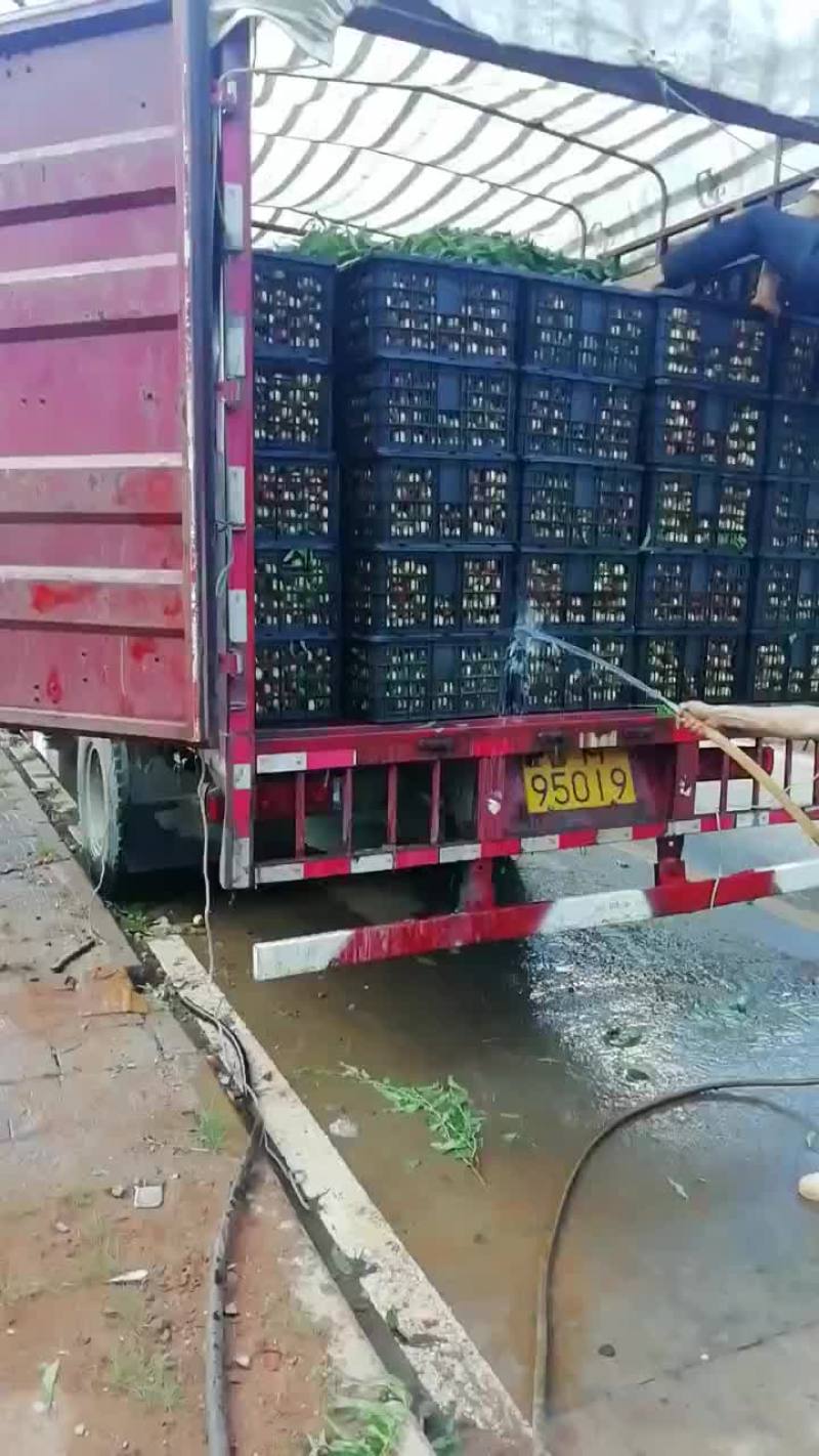 有一车
