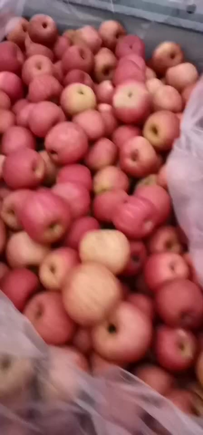烟台苹果
