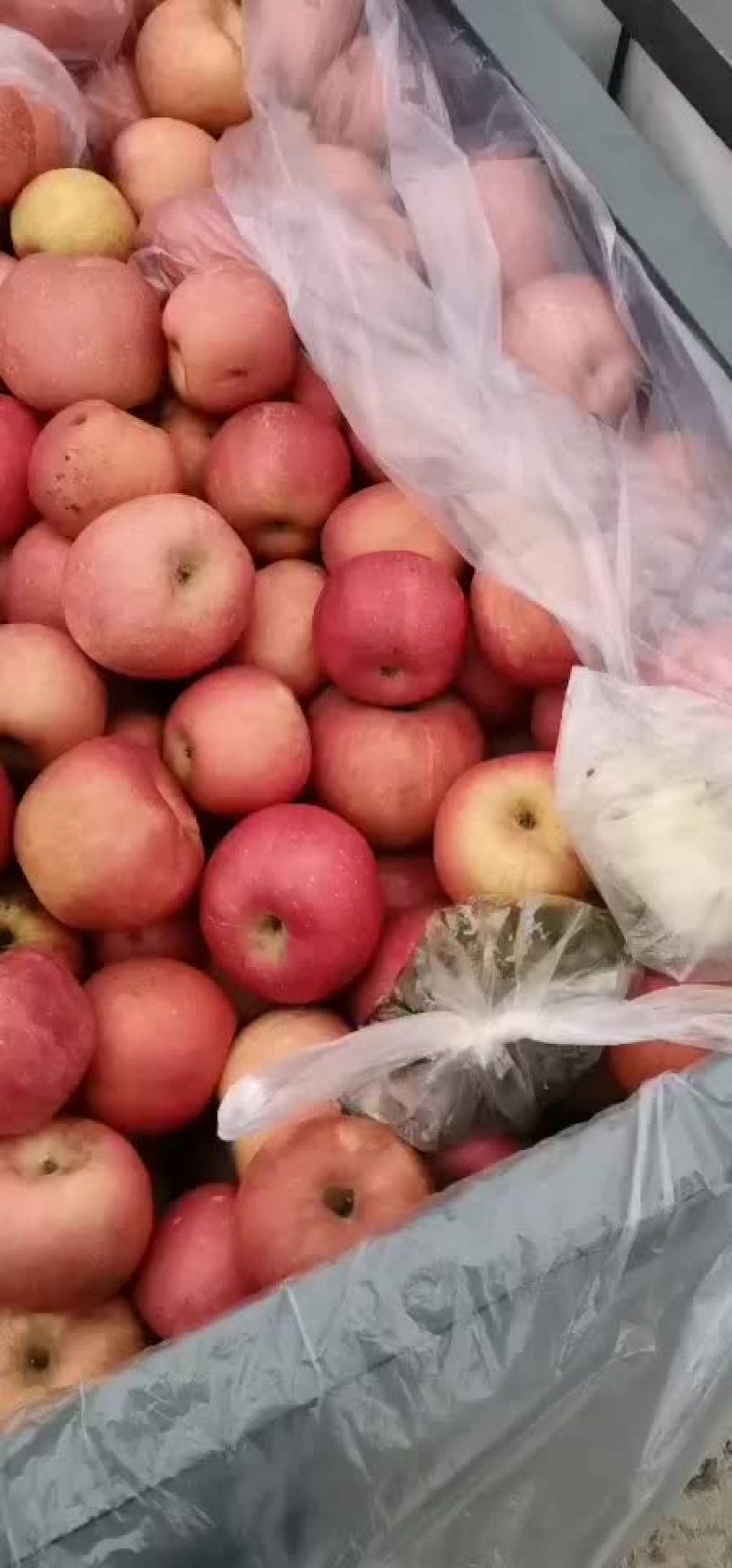 烟台苹果