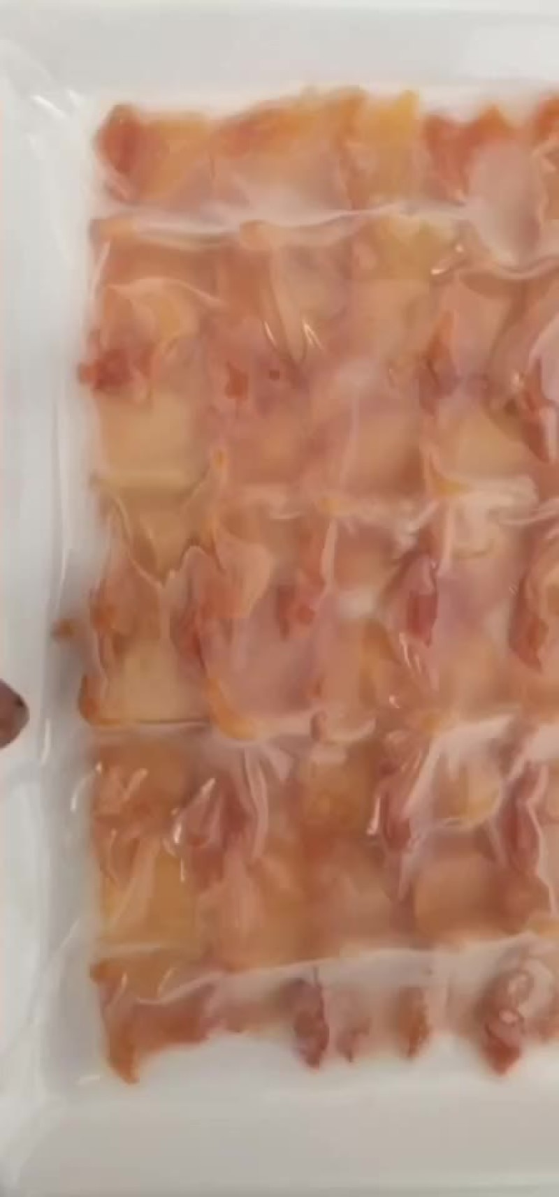 赤贝