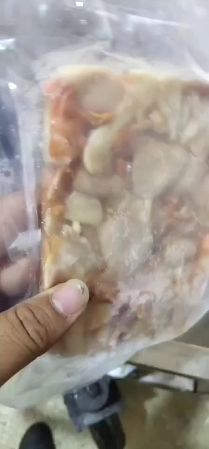 赤贝