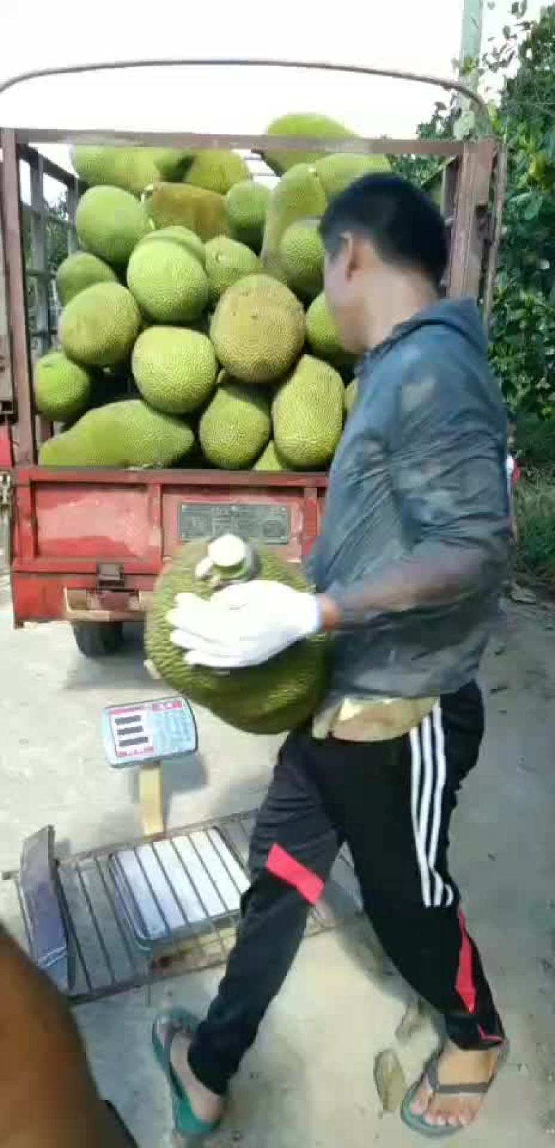 包售后！！！货真价实！！！