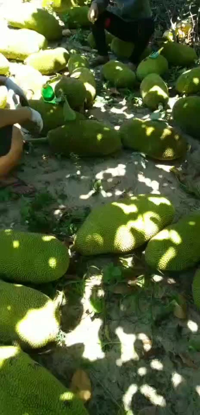 包售后！！！货真价实！！！