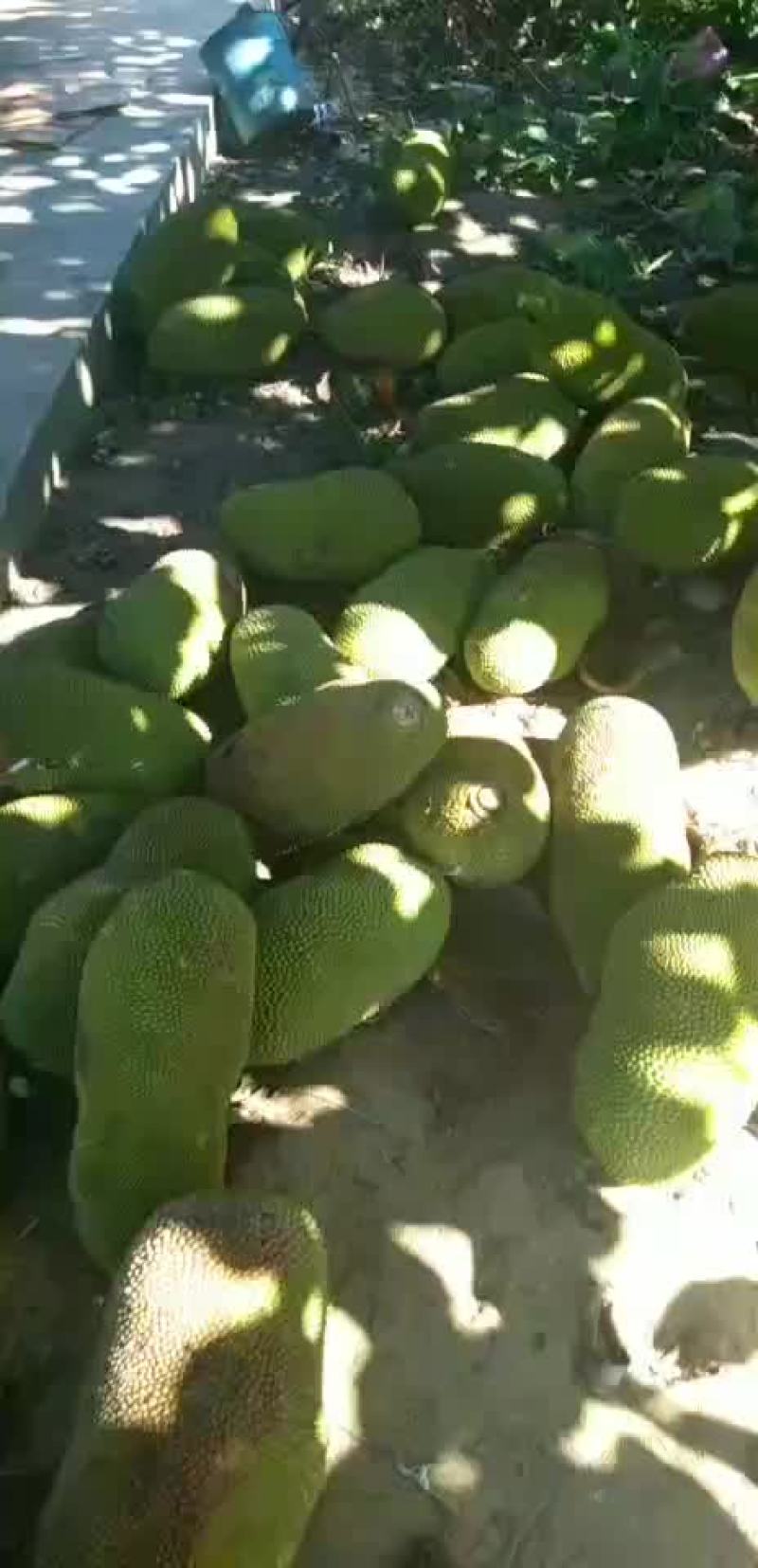 包售后！！！货真价实！！！