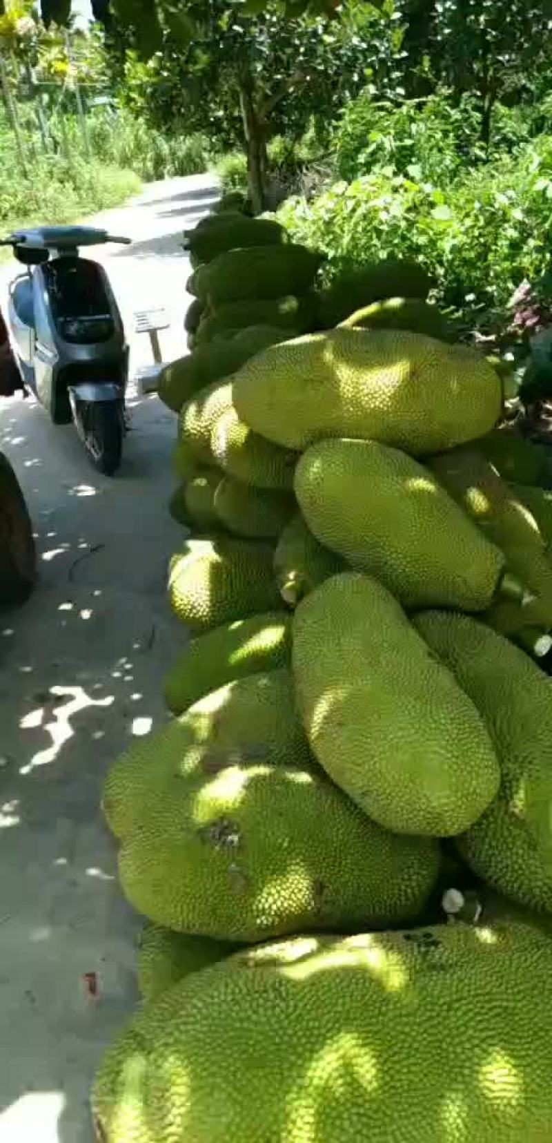 包售后！！！货真价实！！！