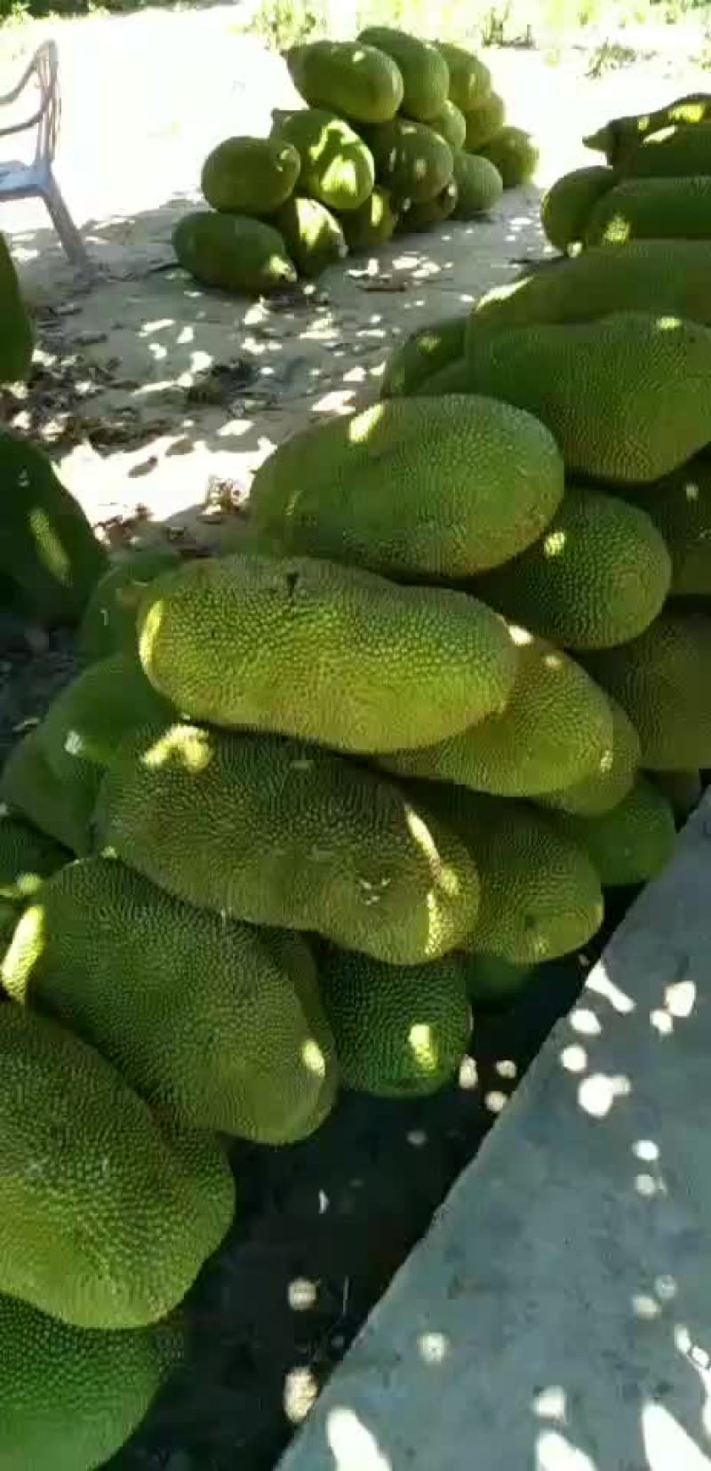 包售后！！！货真价实！！！