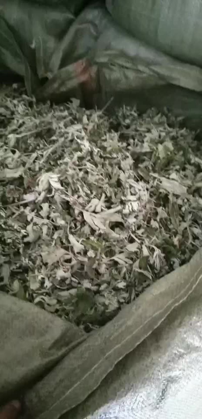 来自800里伏牛山精品野生艾叶