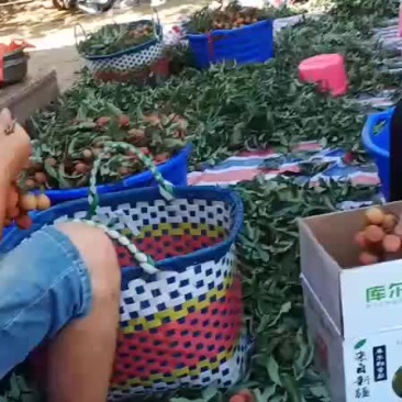 中果
