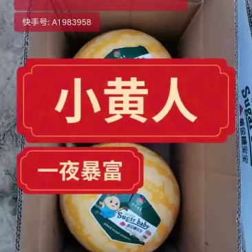西瓜
