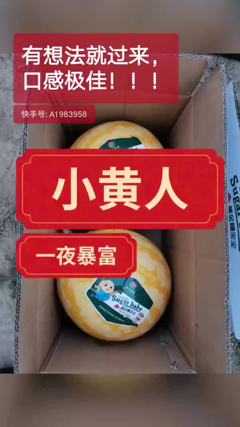 西瓜