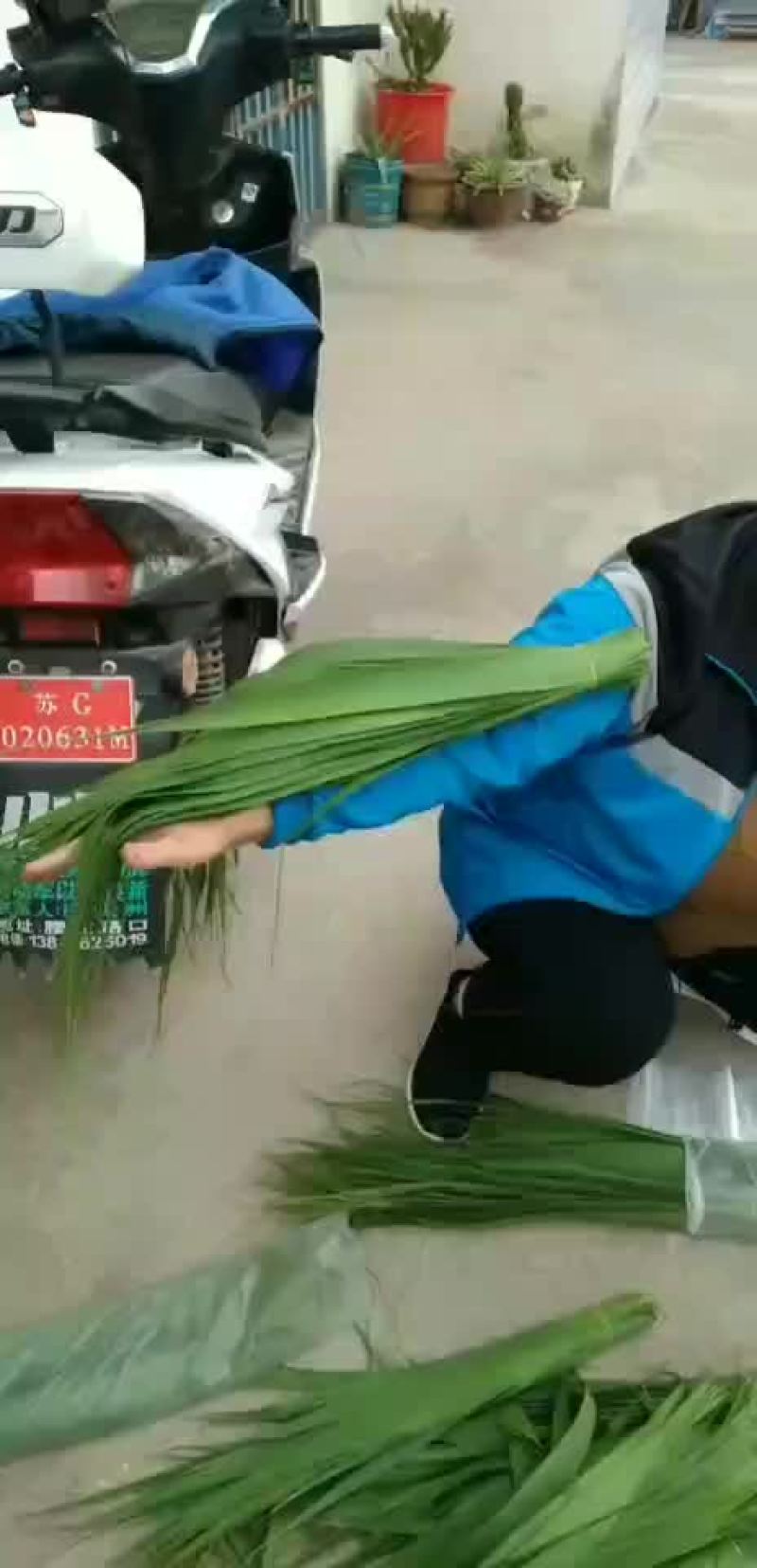 潮河湾