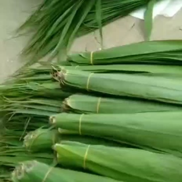 潮河湾