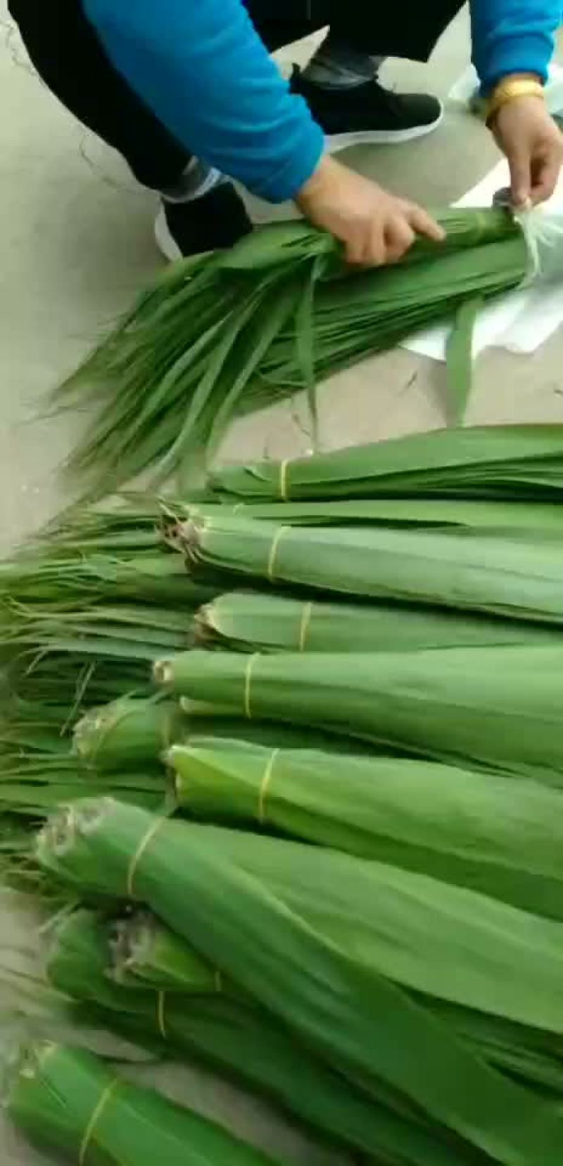潮河湾