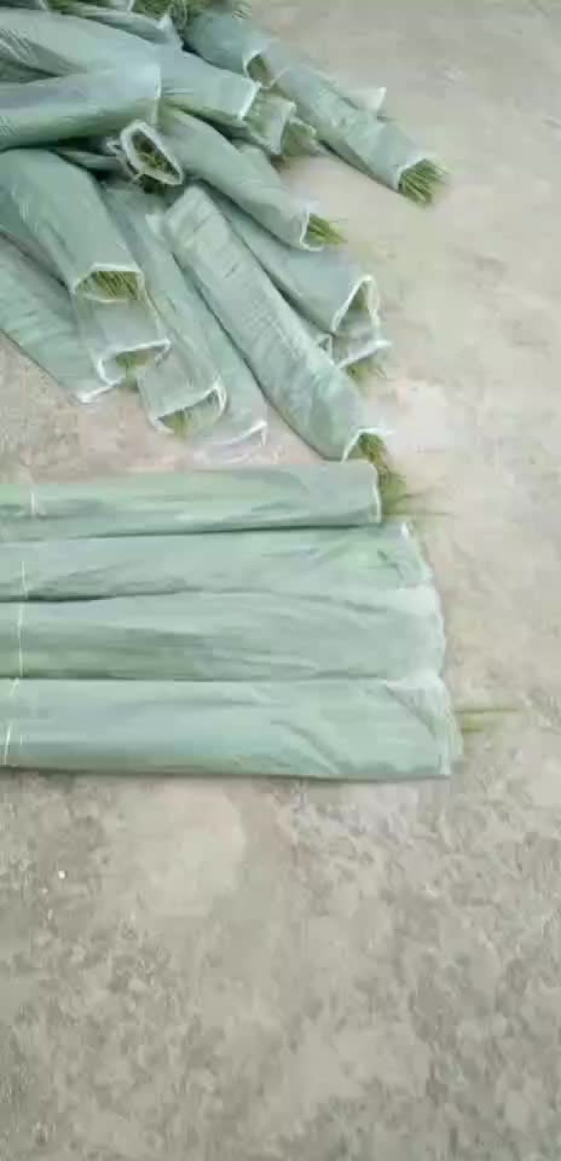 潮河湾