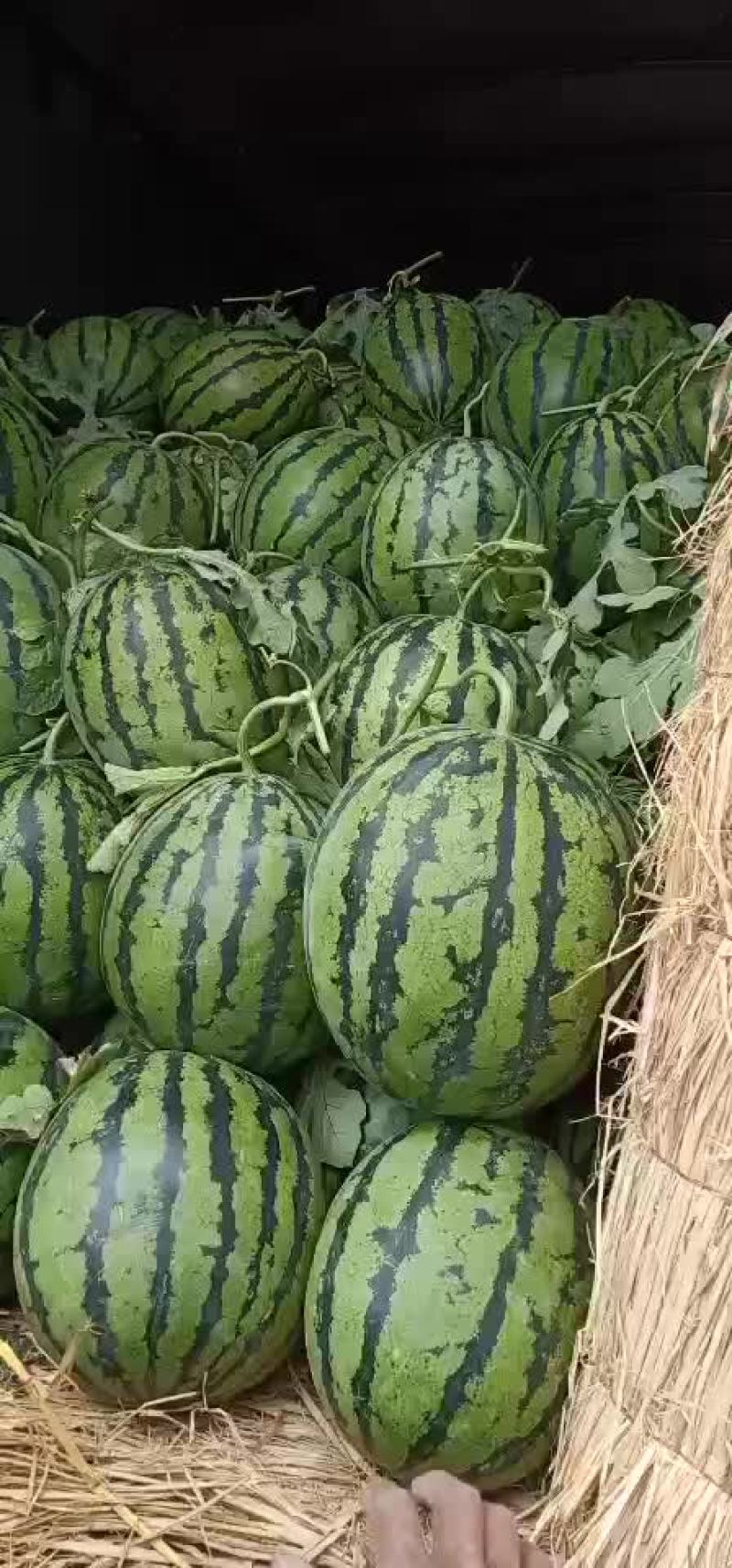 西瓜