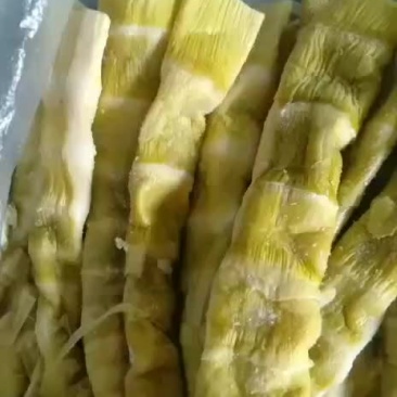 大量批发优质山野菜山笋批发