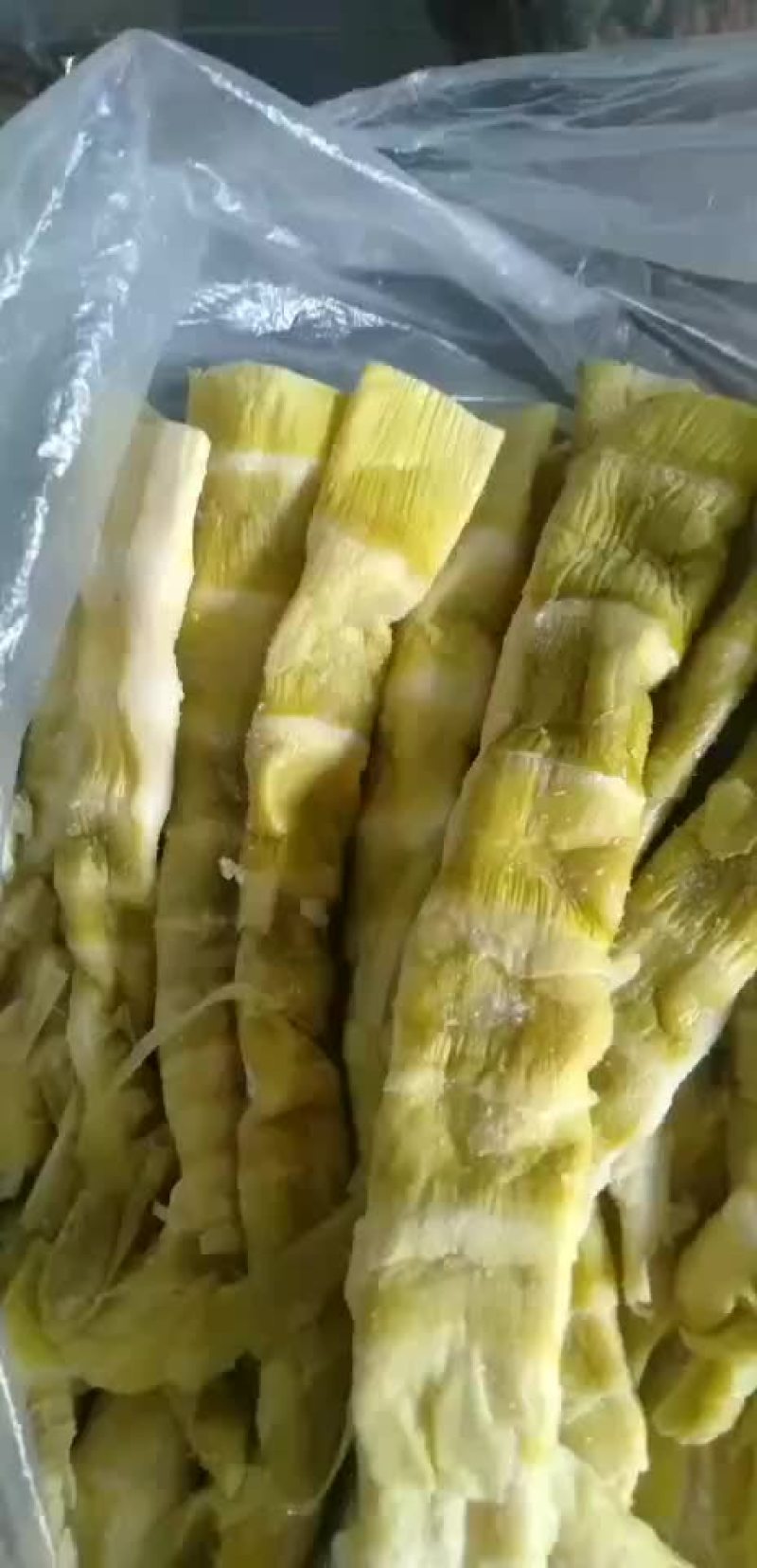 大量批发优质山野菜山笋批发