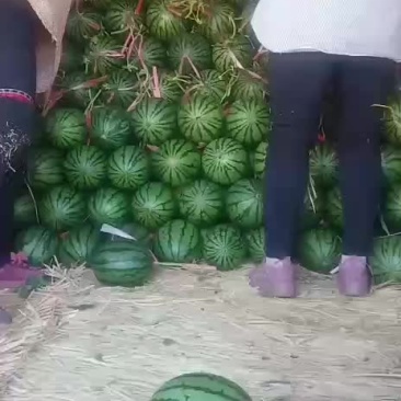 2K西瓜