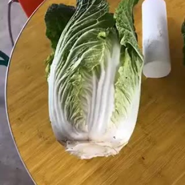 大白菜