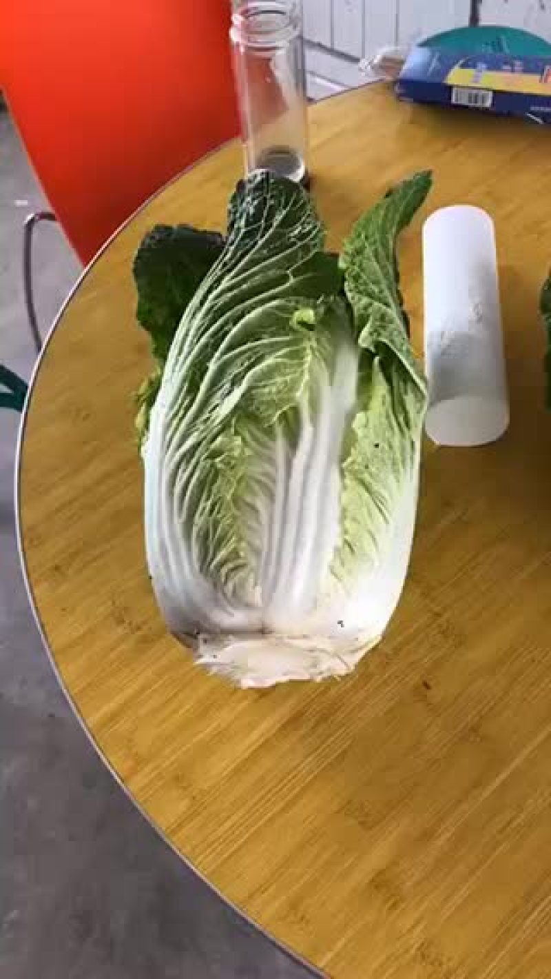 大白菜
