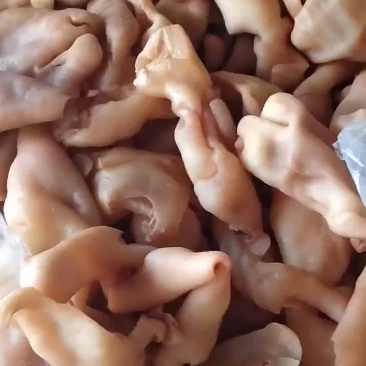 羊脸皮