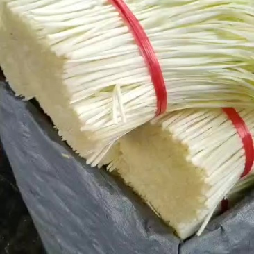 小伍韭王韭菜批发
