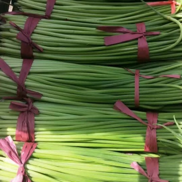 蒜薹