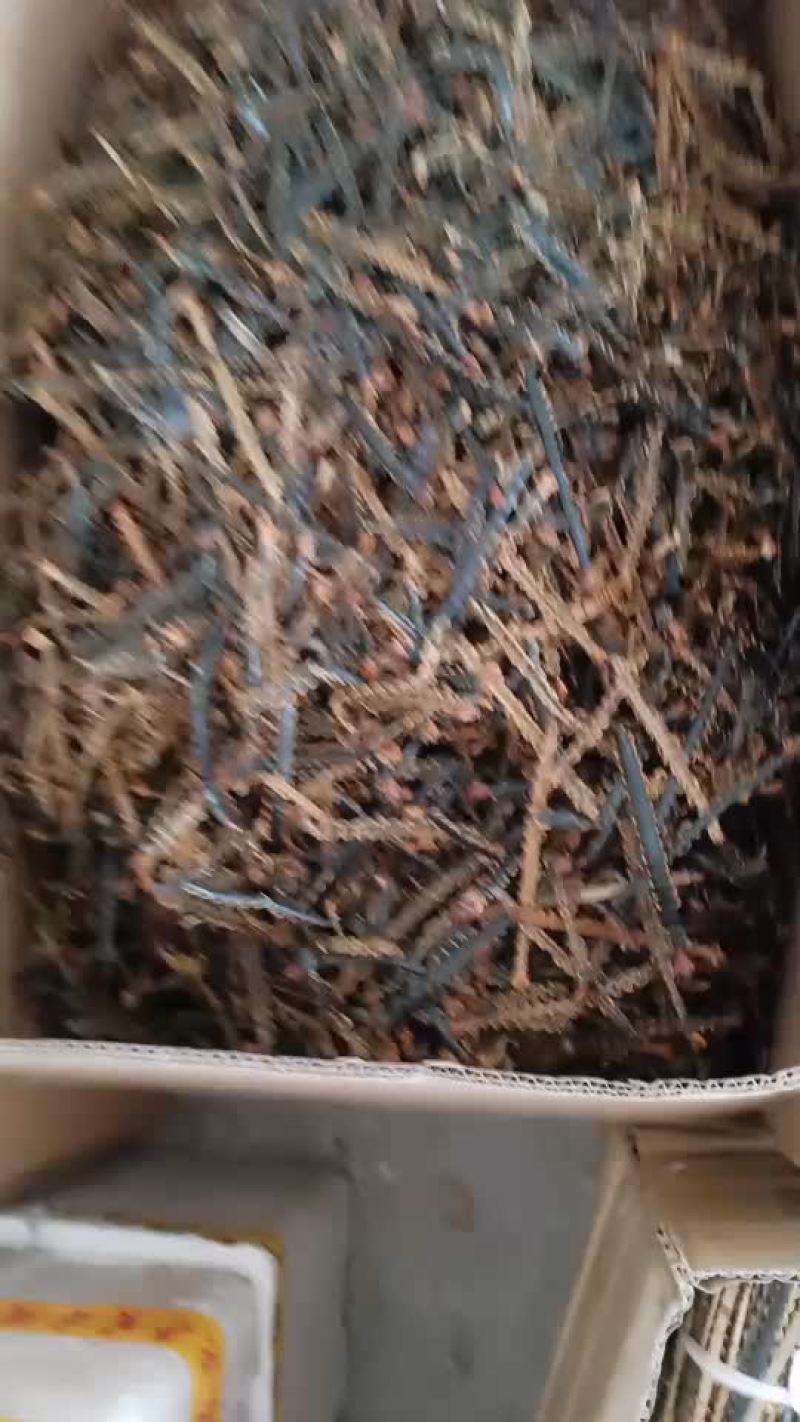 蜈蚣皮