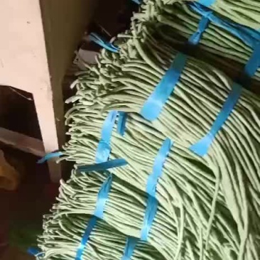豆类
