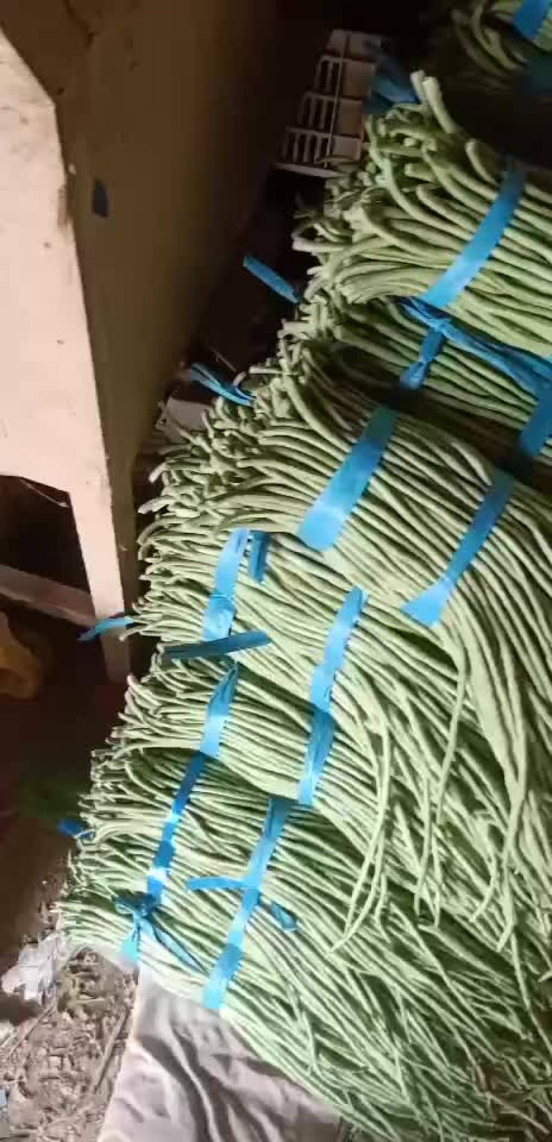 豆类