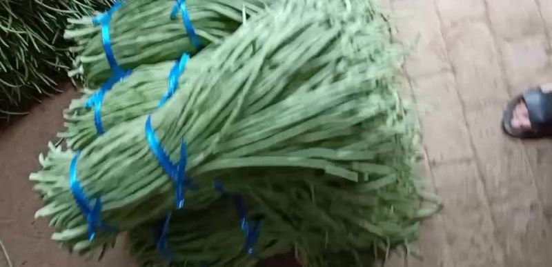 豆类