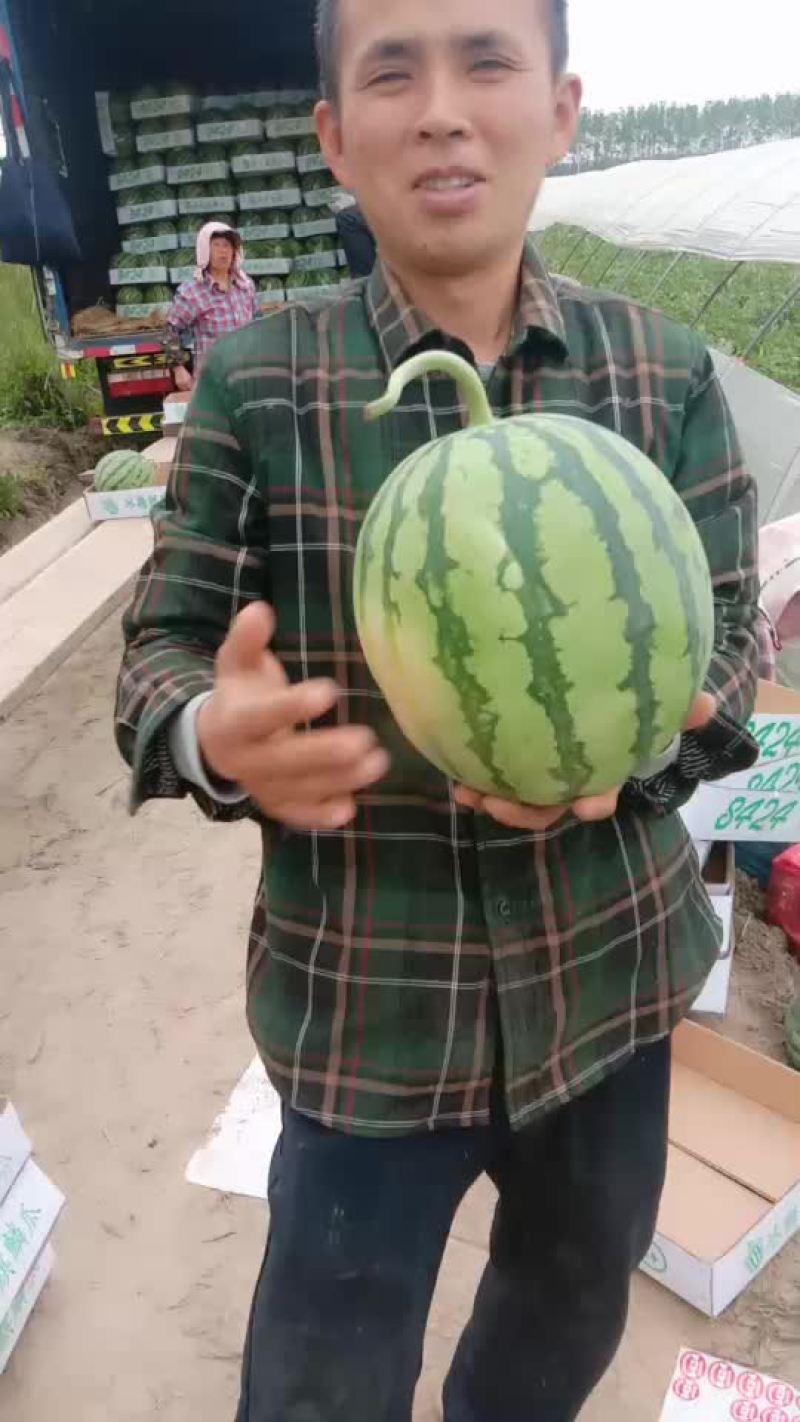精品次瓜