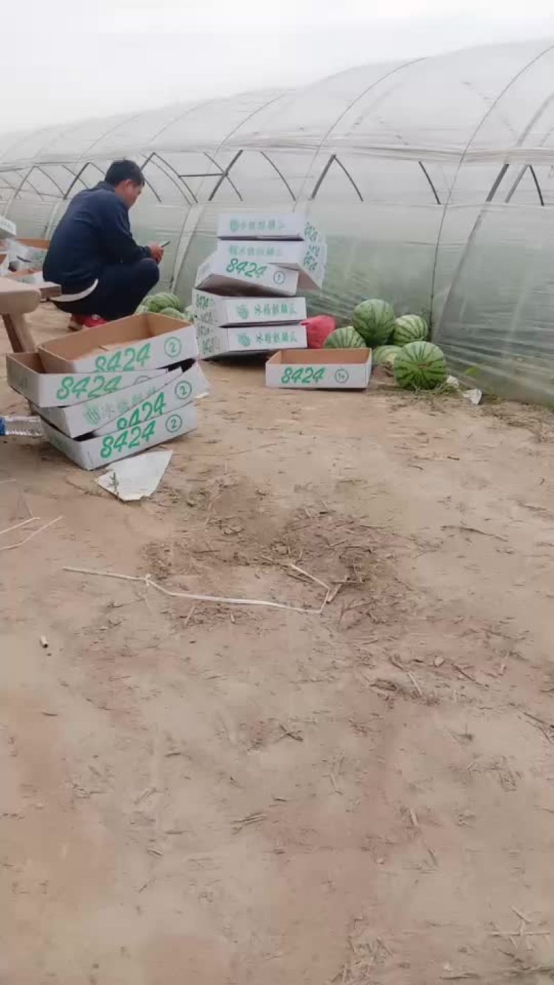 精品次瓜