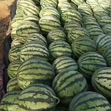 麒麟瓜