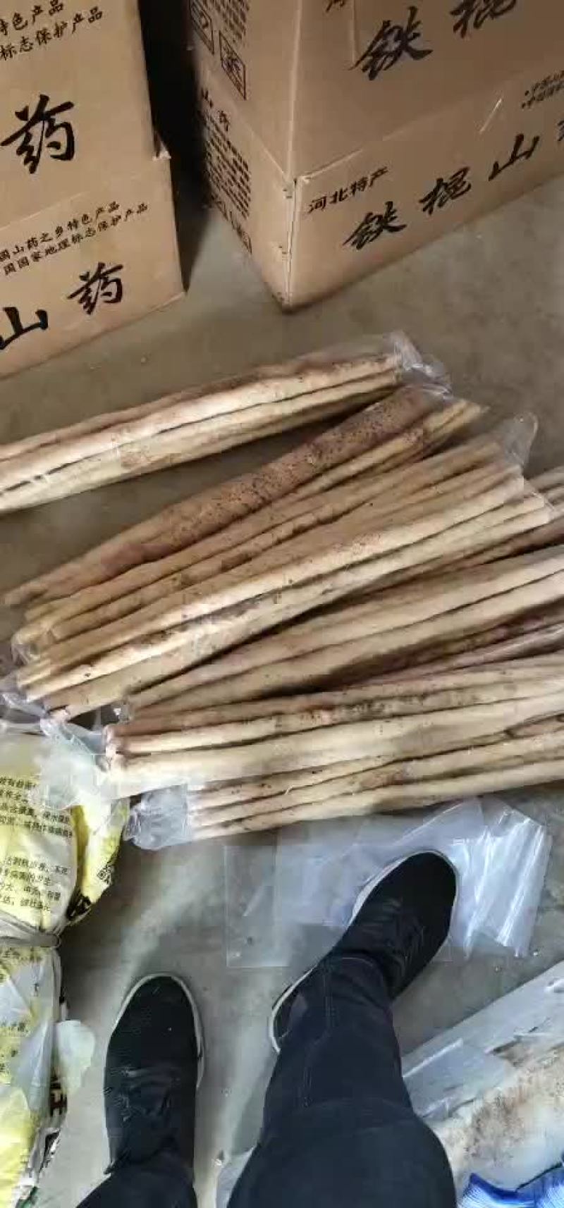 小白嘴，铁杆山药