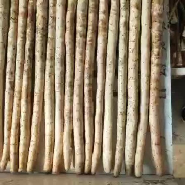 小白嘴，铁杆山药