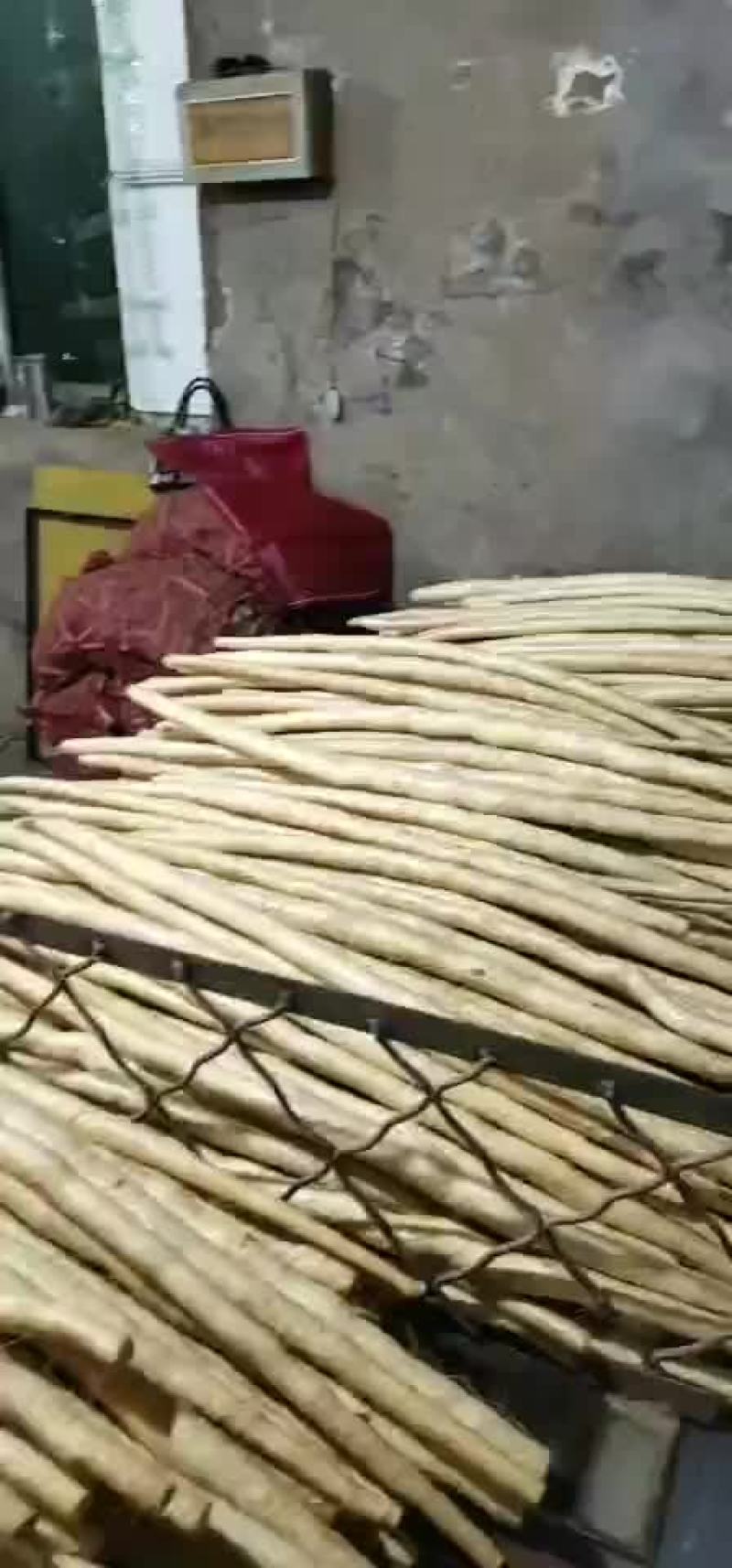 小白嘴，铁杆山药