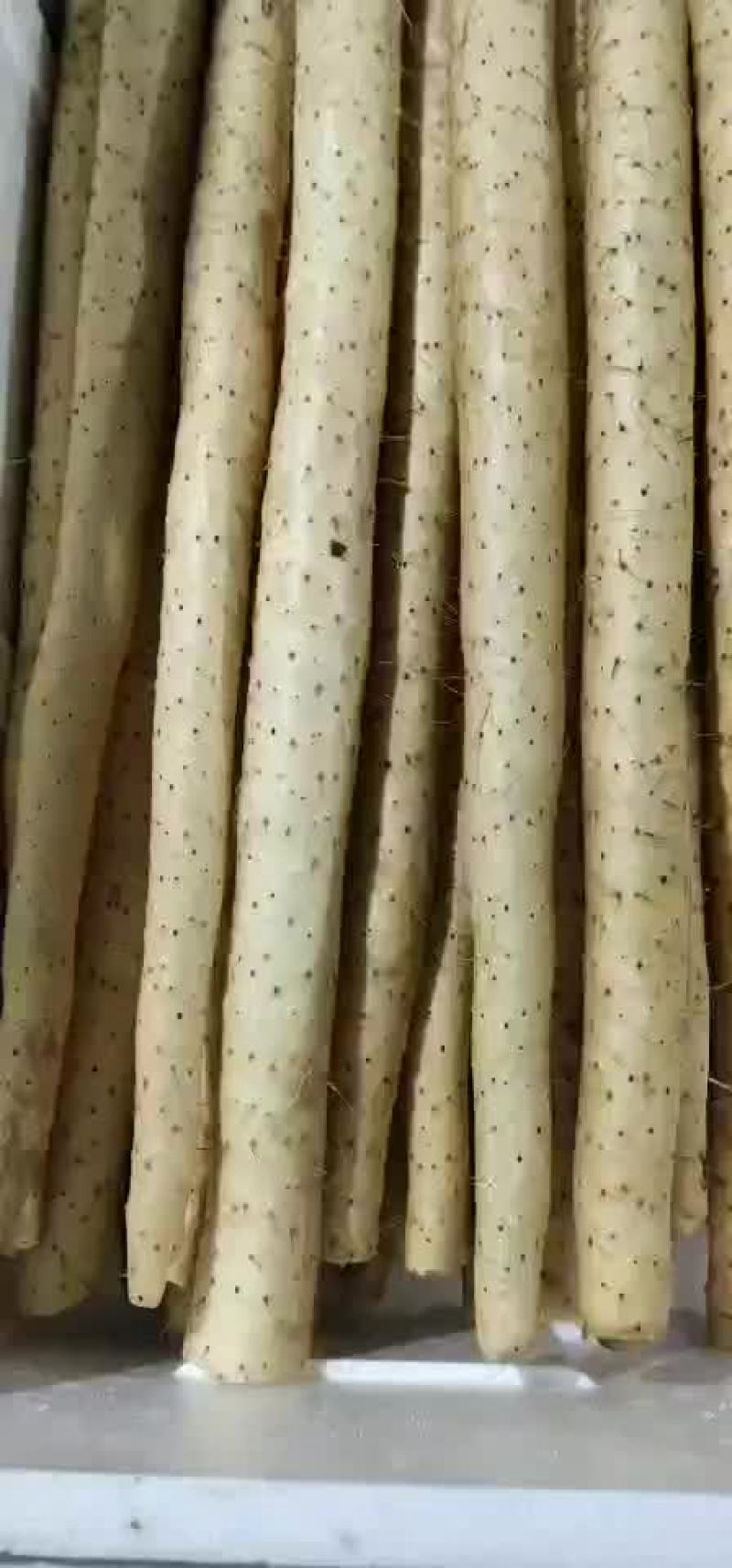 小白嘴，铁杆山药