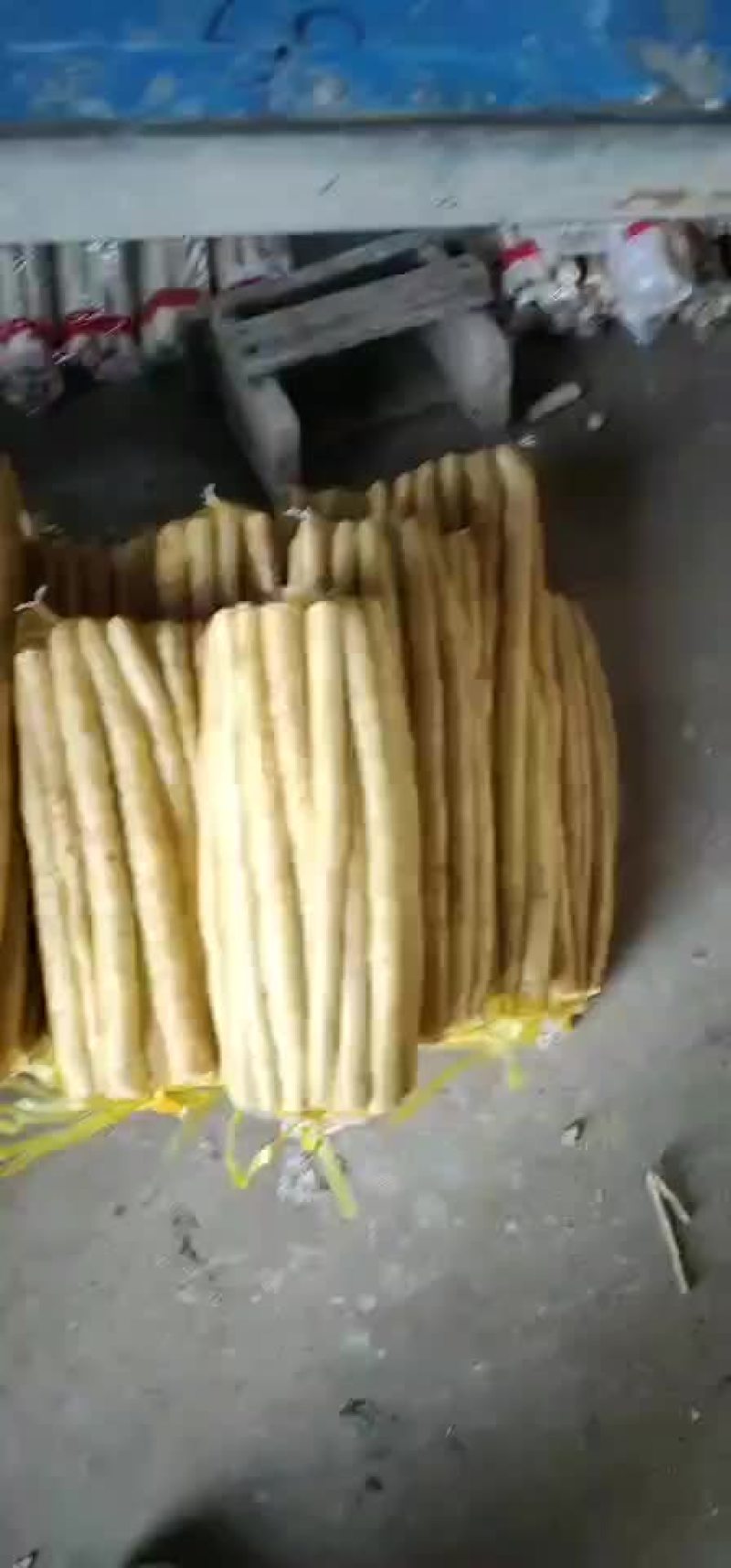 小白嘴，铁杆山药