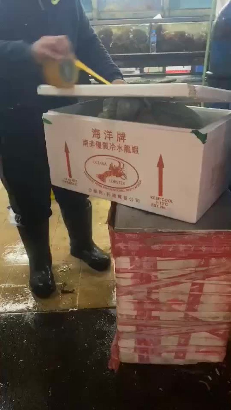 鲜活新鲜热销阿拉斯加帝王蟹全程视频空运物流