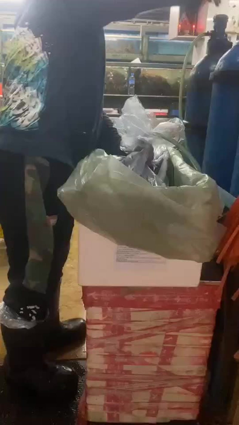 鲜活新鲜热销阿拉斯加帝王蟹全程视频空运物流